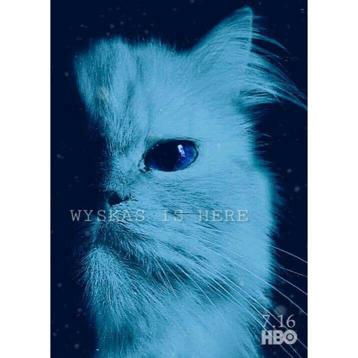 Jaci (@cikacarter) on Twitter photo 