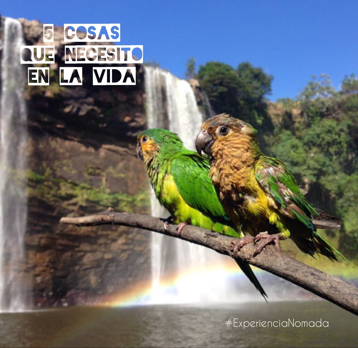 TeamNomada's tweet photo. Necesito: 
1.- Viajar 
2.- Dinero para viajar 
3.- Días libres para viajar 
4.- Una pareja que ame viajar 
5.- Vivir muchos años para viajar https://t.co/VXCwh6pbRE
