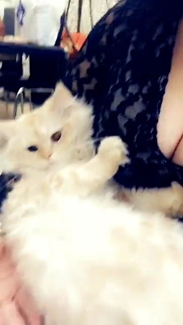 Gamala (@gamala13351441) on Twitter photo 