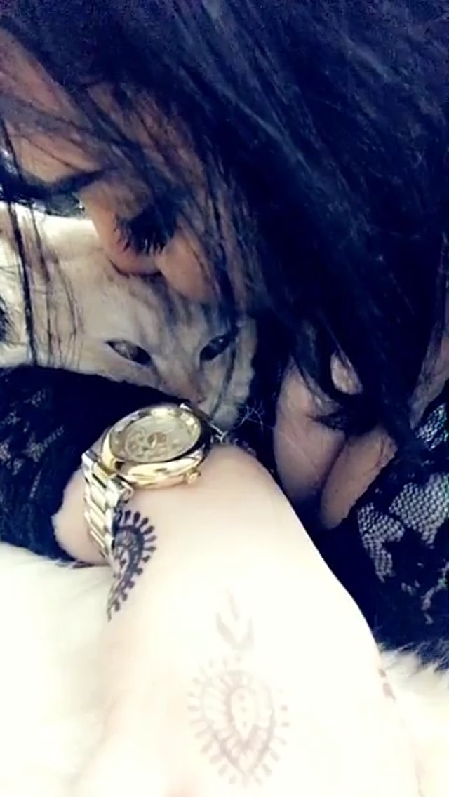 Gamala (@gamala13351441) on Twitter photo 