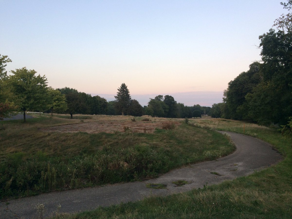 MikeLSaunders's tweet image. #PhotoMonitorLCWM