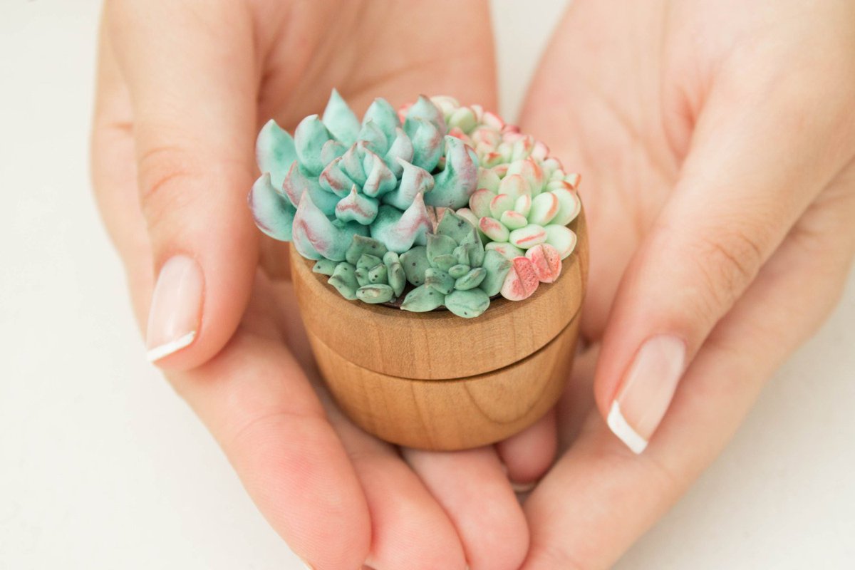 Swooned tweet media