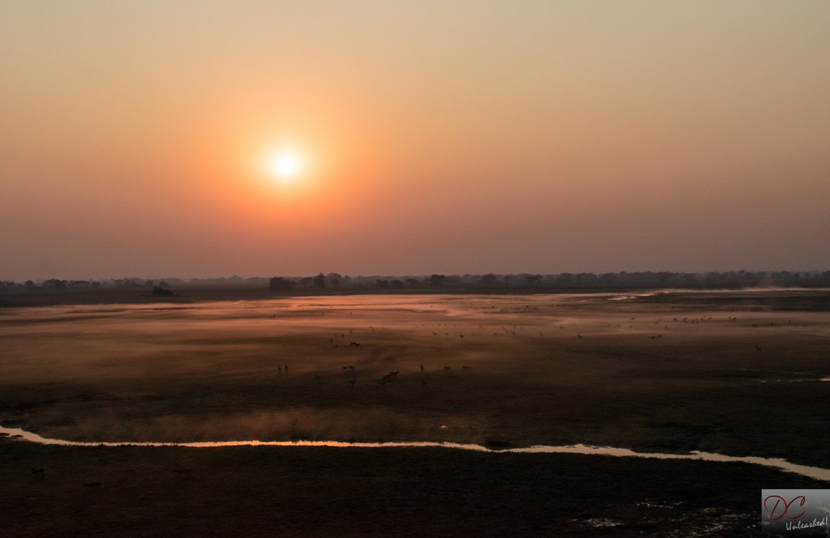 chemdry_s's tweet photo. Some great pics just received from Zambia https://t.co/dMCUkKzjeY