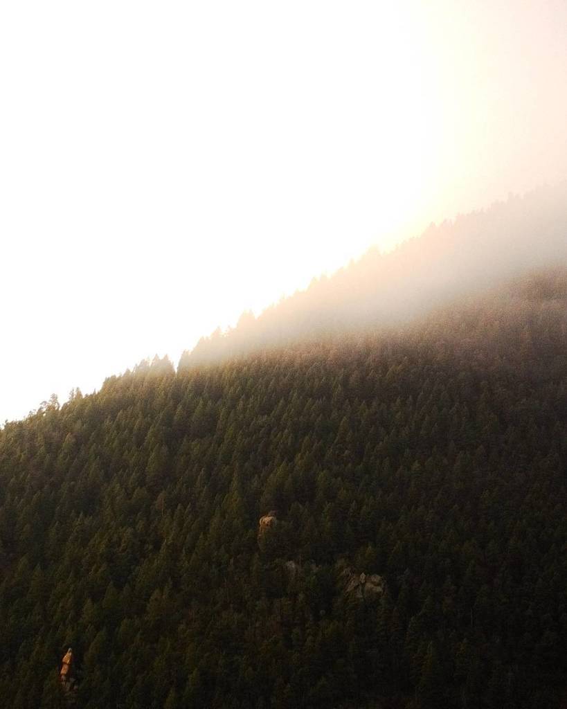 CalebGiki's tweet photo. Early morning fog
.
.
.
.
.
.
#SonyImages 
#MoodyGrams
#PointofView
#WanderLust
#WorldPlaces
#NatureLovers
#WorldC… https://t.co/CDUc8hnMlF https://t.co/dPiCWzLQ0t