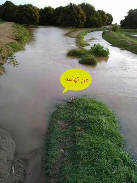 SolimanNoot's tweet photo. صباح الفل والورد
صباحكم تهامي جميل،،،👇🏻 https://t.co/7TEJgFE6S2