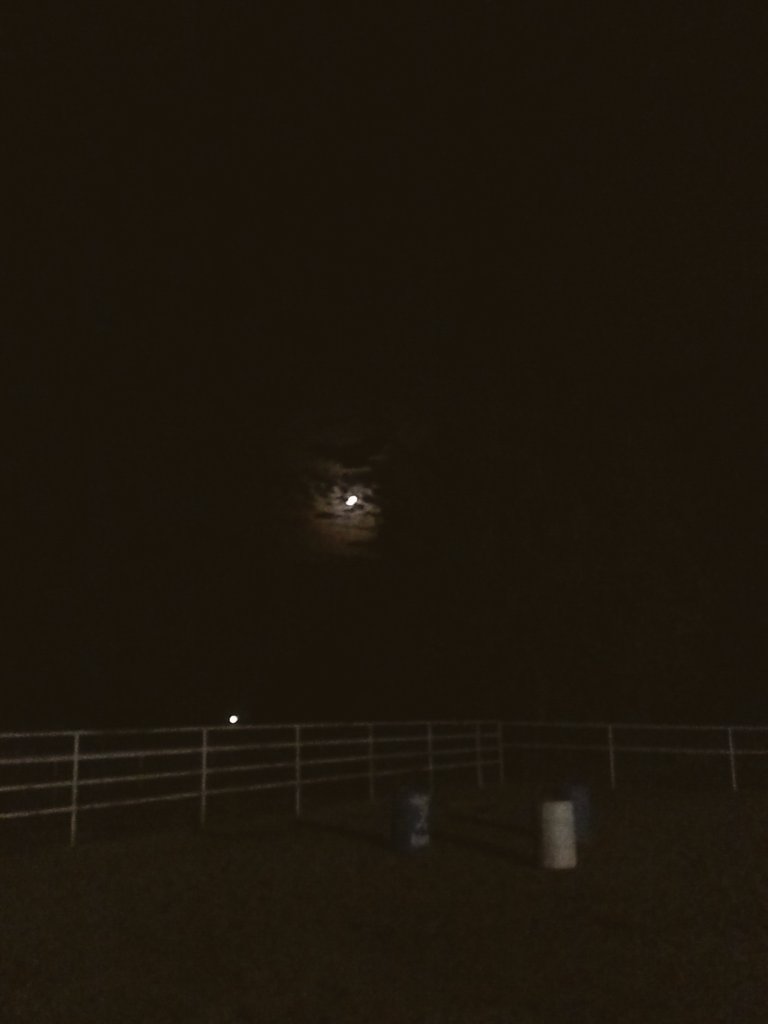 Paul_Carrales's tweet photo. Nights like these, just makes me wanna stay out forever. https://t.co/eyu3s7GaGk