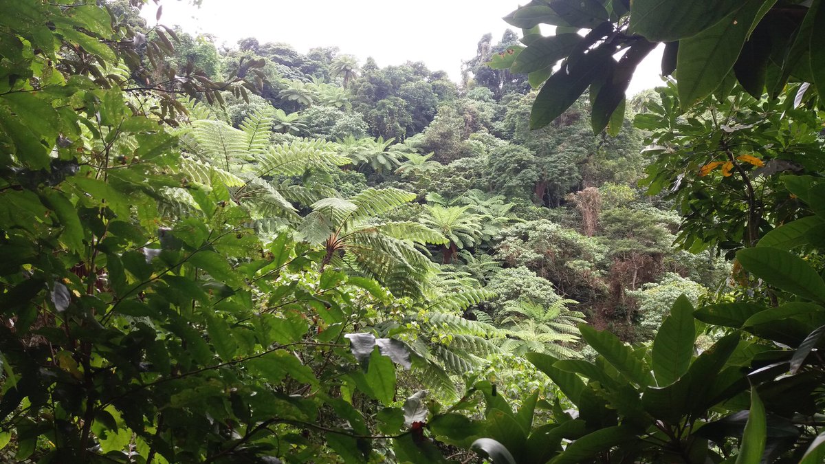 lingbahn80's tweet image. Yapilmae waterfalls ,Tanna #toktok2017