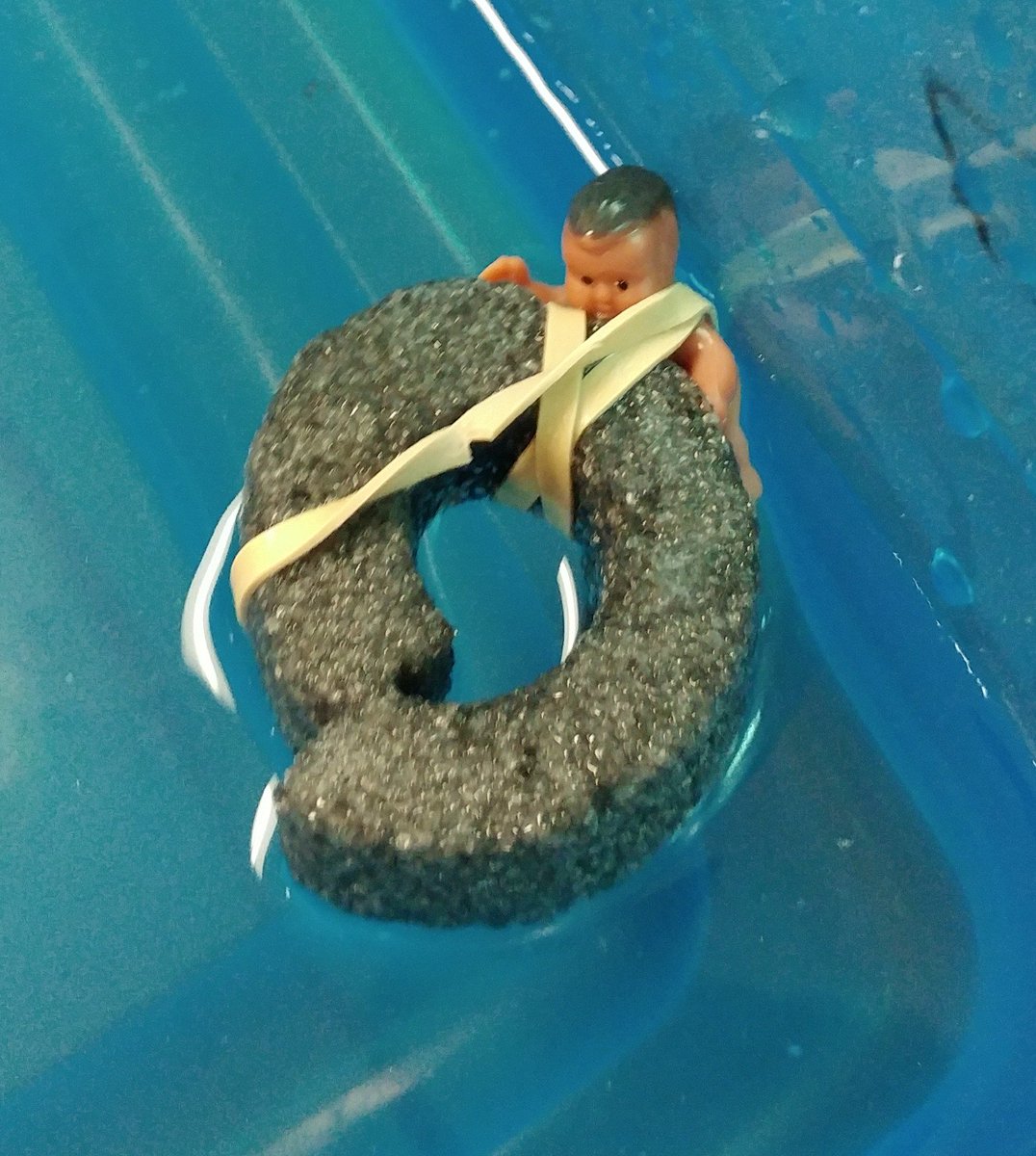 Roaring_DOI's tweet photo. First day Save the Baby STEM activity. Can you get the baby to float no matter how it enters the water? #GrizzliesUnited #GrizScience https://t.co/cbbIvz0OLU