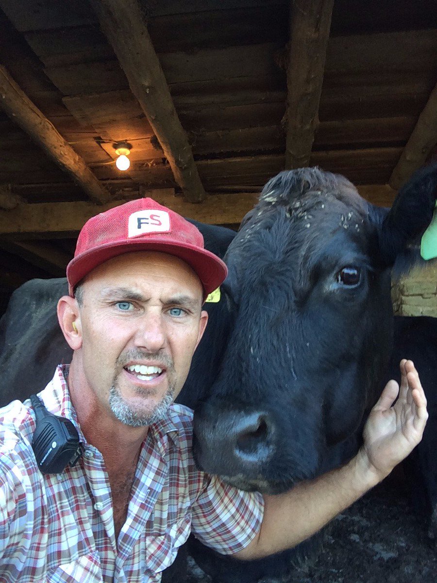 JackMcC62241's tweet photo. Cow takes selfie with her favorite human. #FSBigPic https://t.co/G7vT4iVmET
