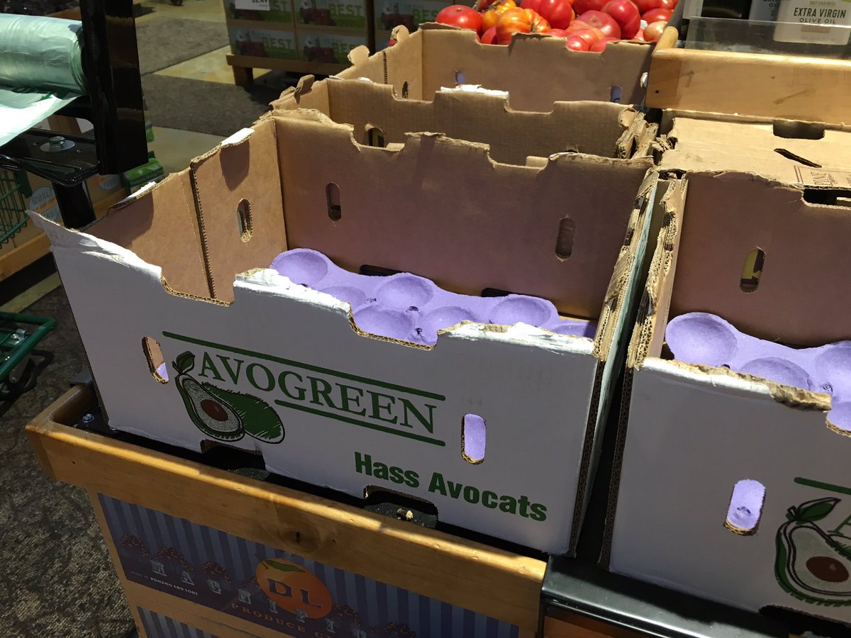 _tessr's tweet photo. OH HELL NO my local whole foods is full of computers and has run out of avocados https://t.co/c9k5O7AjAM