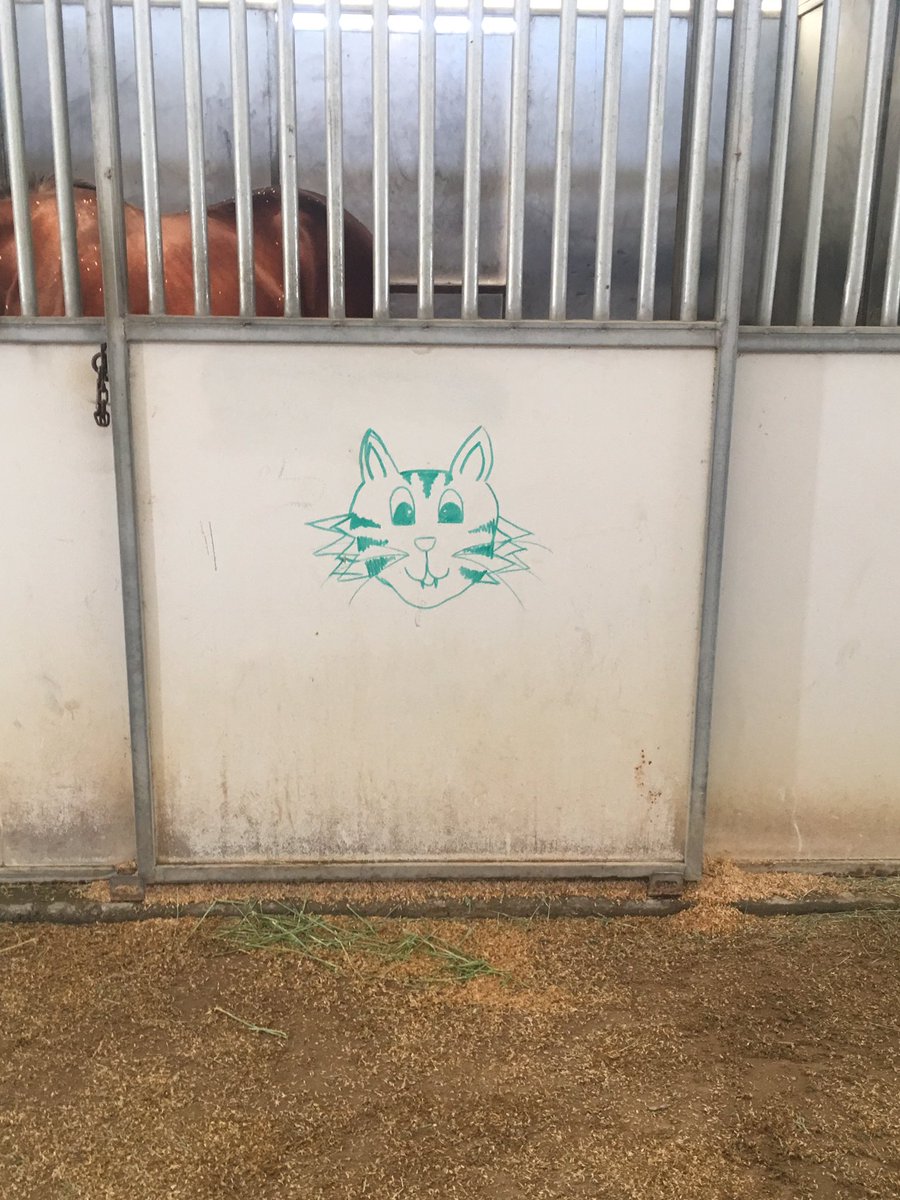 LindzBoutwell's tweet photo. Most yearlings have their name written on their stall door. Cool yearlings have a self portrait. #tigeronyoursix #smilingtiger https://t.co/T34Wr73Mrw