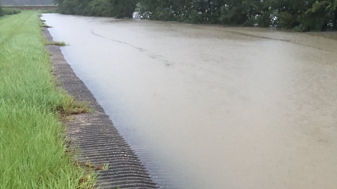 View image on Twitter