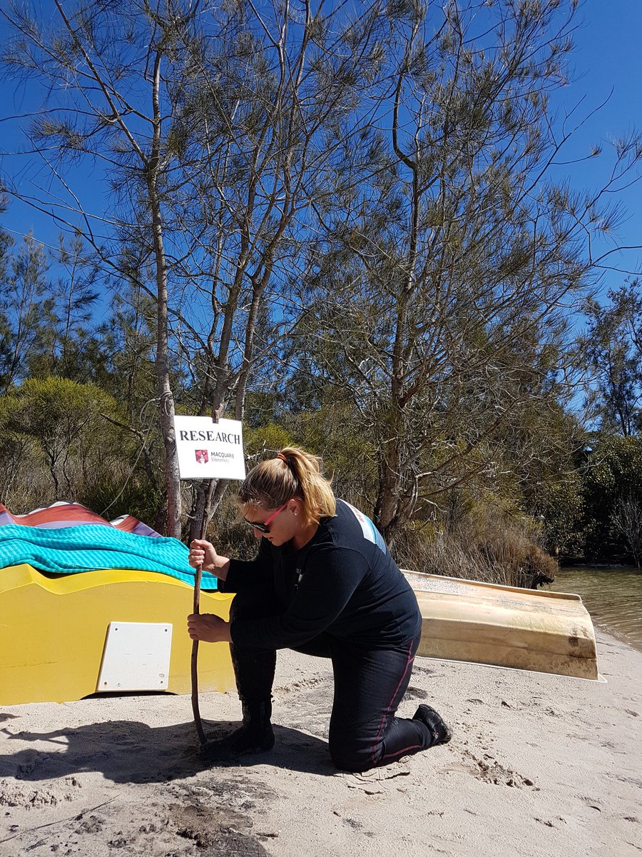 kjrankin88's tweet photo. We claim this beach for #research
#MacgyverScience #LetterOfTheLaw #Obedient #FishLabInTheWild https://t.co/ZUlmLllI0Q