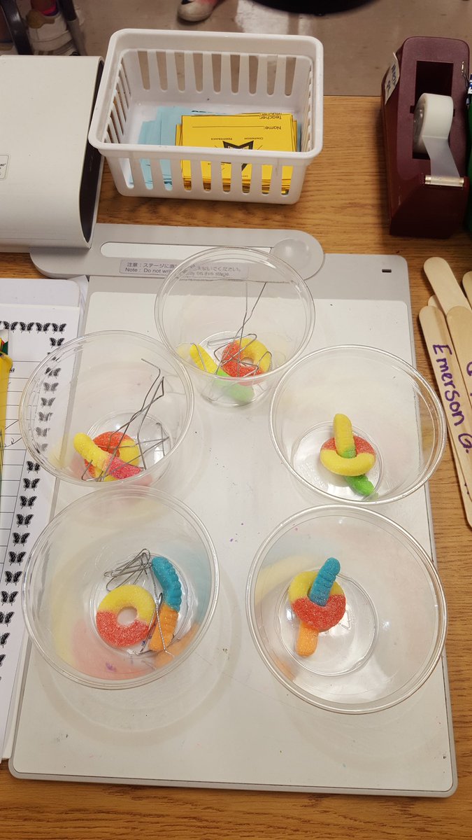 Teach4thDL's tweet image. Today my class attempted to save Fred! 🐛@CambridgeElem  #teamwork #engagedclass #STEM #ahisdelem