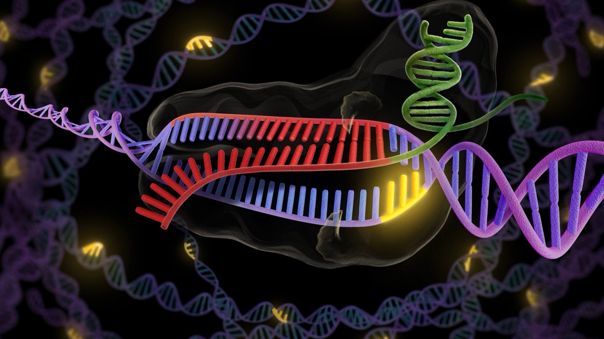 Berci's tweet photo. What can you achieve with CRISPR therapy today? https://t.co/L2lEk5VhHQ #digitalhealth https://t.co/weObzsKABY
