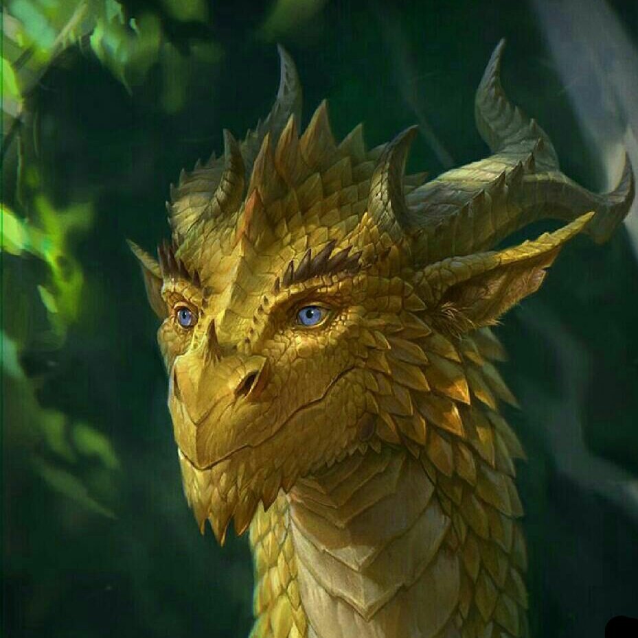 willoherondale1's tweet photo. #NuevaFotoDePerfil https://t.co/MpbjUVVIa0