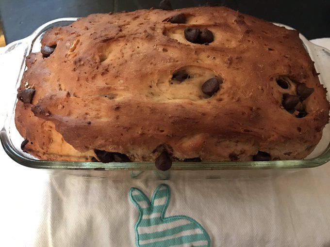 peanut butter chocolate bread  🥜🍫🍞 https://t.co/28bYpNYt63<a href="/tag/adoptdontshop"class="tags"><span>#adoptdontshop</span></a><a href="/tag/lhasaapso"class="tags"><span>#lhasaapso</span></a>