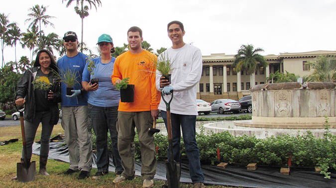 UHAlumni's tweet photo. 🌱 Any @uhmanoa alums remember Varney Circle? Check out what a CTAHR researcher is doing with the space - https://t.co/j71PycsQGo #ExploreUHM https://t.co/IcKsDdEB8b