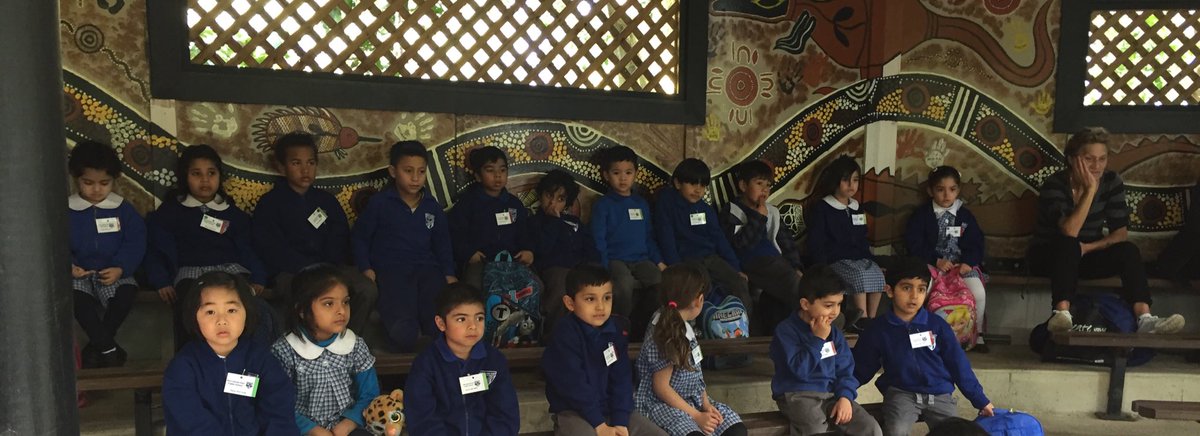 merrylandseast's tweet photo. Kindergarten having fun at Featherdale #Kindergartenexcursion https://t.co/jC48M789aB