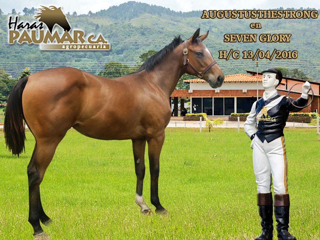 haraspaumar's tweet photo. Hermosa nieta de Lady Gusta y factor Rasmussen, inbreed a la madre de York Minster, Native Street!! https://t.co/3gCDy1gP9A