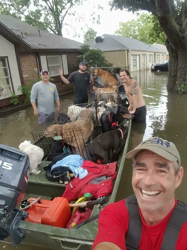 laceyadunn's tweet photo. These people went out to find abandoned animals to rescue 😭😭😭😭 https://t.co/T5uV9IXsrl