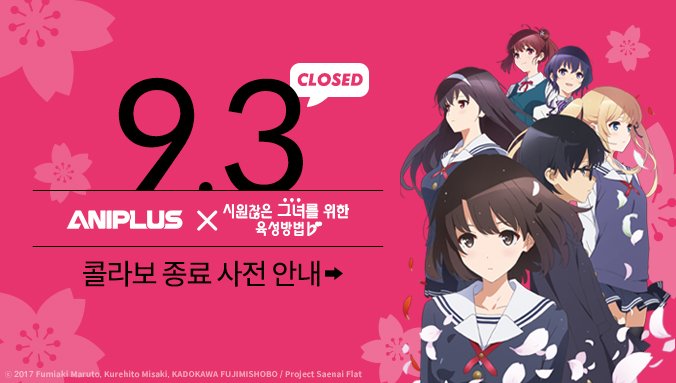 [애니플러스샵 X 시원찮은 그녀를 위한 육성방법] 현재 애니플러스샵 매장에서 진행중인 사에카노 콜라보 카페는 이번 주 일요일인 9월 3일까지...