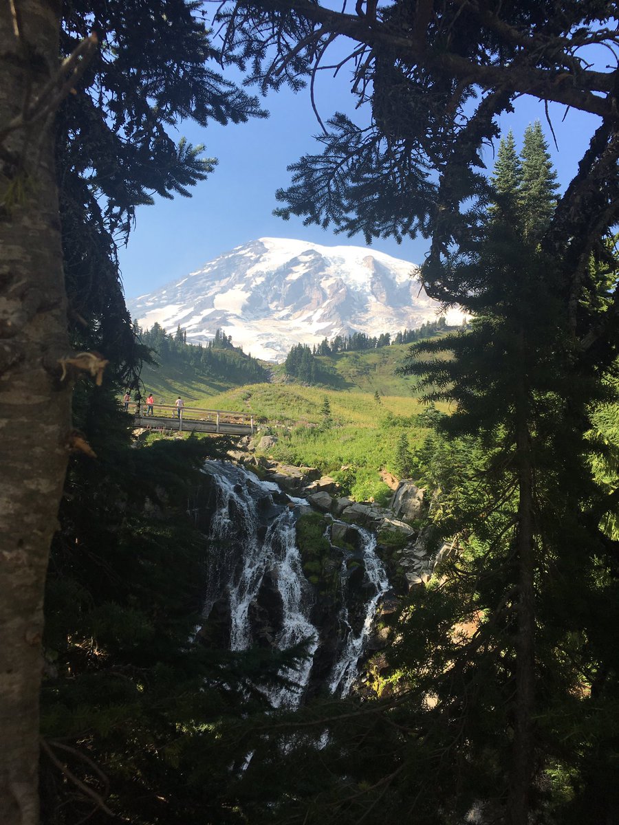 bisonandbigfoot's tweet photo. Mt Rainier is something else. Weng camping last night and saw paradise
#volcano #mtrainier #nationalpark #nps  #camping #hiking #travel https://t.co/kwcrcjBVTC