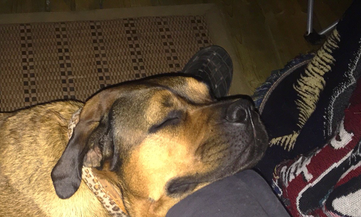 da_zori's tweet photo. Sooo tired 😴 https://t.co/ahmGpPEoWj