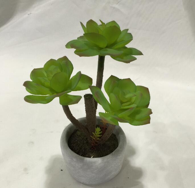 Jack yang (@jackyang2006) on Twitter photo 