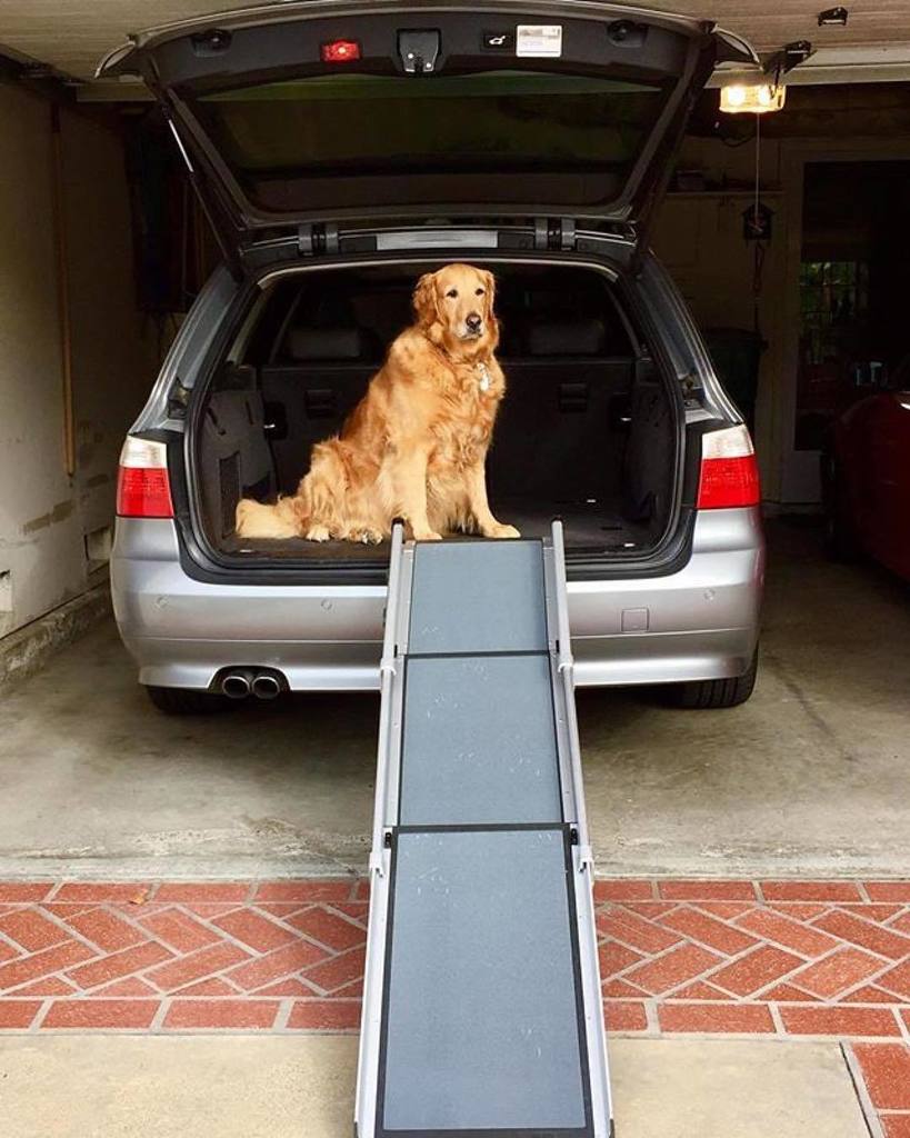 SolvitPets's tweet photo. Abby loves her @solvitpets Deluxe Tri-Scope Pet Ramp! While Abby loves the ease of walking up the ramp, at almost … https://t.co/YpLd8FyOMD https://t.co/6Lxt8tIh86