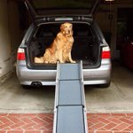 Photo by Solvit Products (@SolvitPets)
