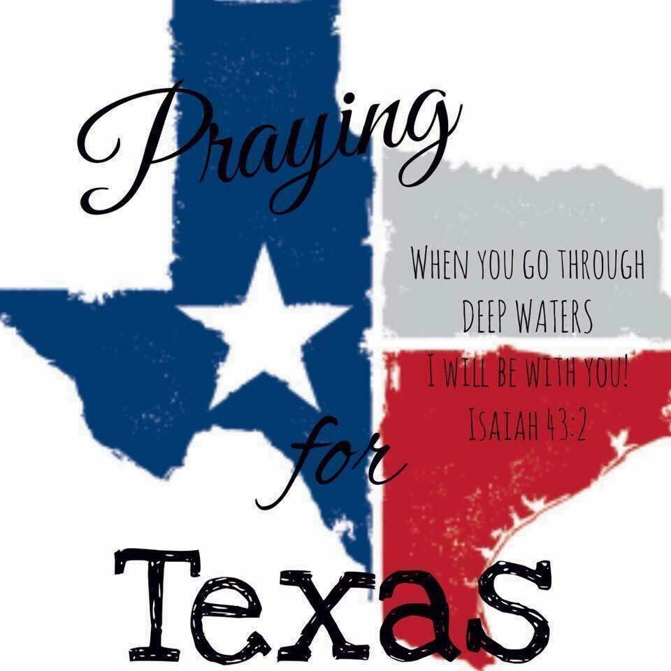 Brian Brown (@brianbrown21) on Twitter photo 