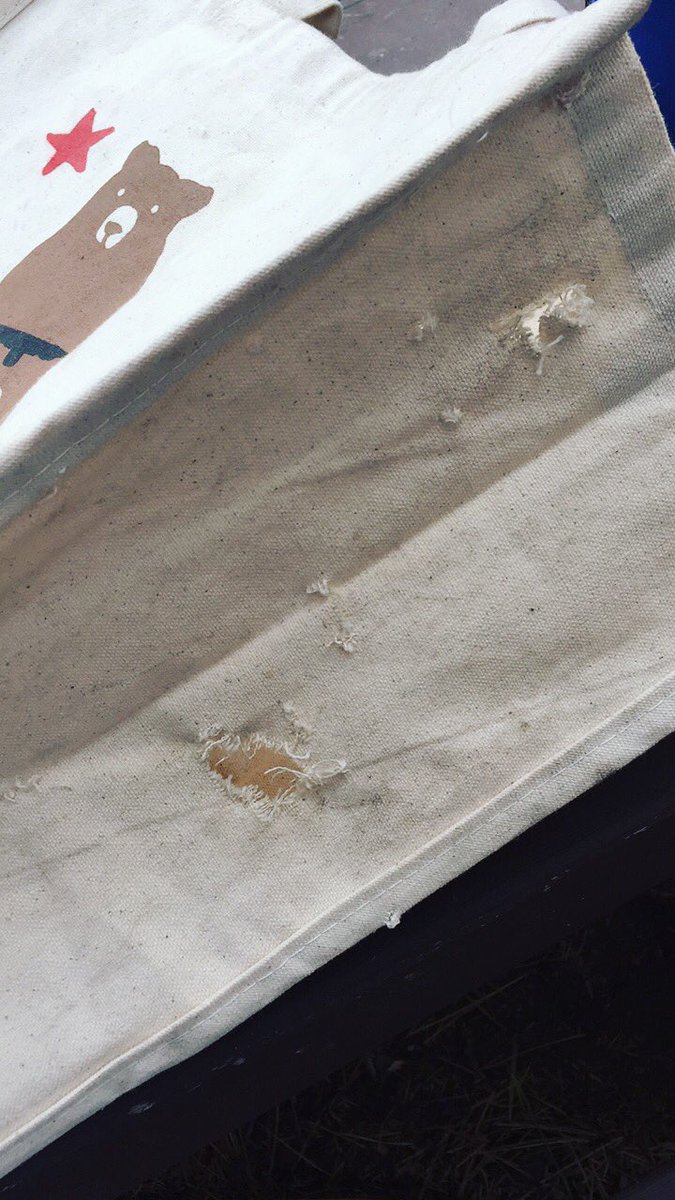 Connor McCutcheon tweet media