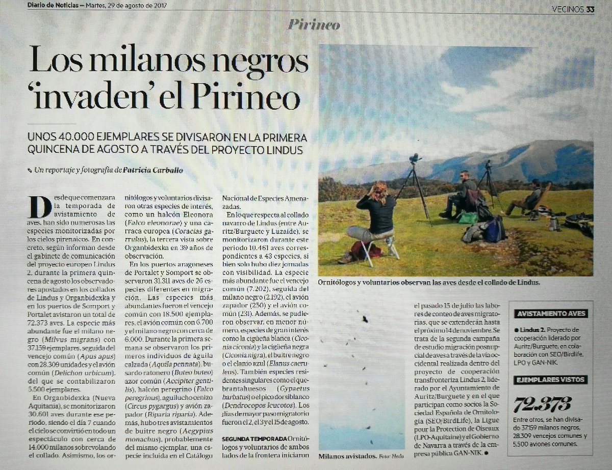 Agosto, mes del milano negro en el Collado de #Lindus