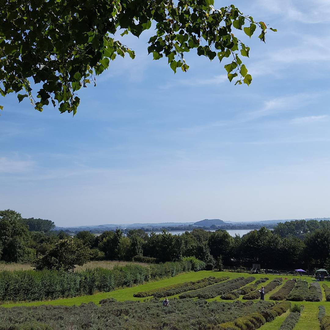 lovesomersetonl's tweet photo. A great time at the first @IgersSomerset meet up in #Axbridge - top company &amp; weather! 🌞📷👌 @PollyMcC71 @ZCUK1 #Somerset #lovesomersetonline https://t.co/OmwTHx98Bf