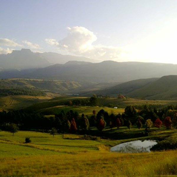 What a view... from Cathkin Cottage! #DrakensbergExperience