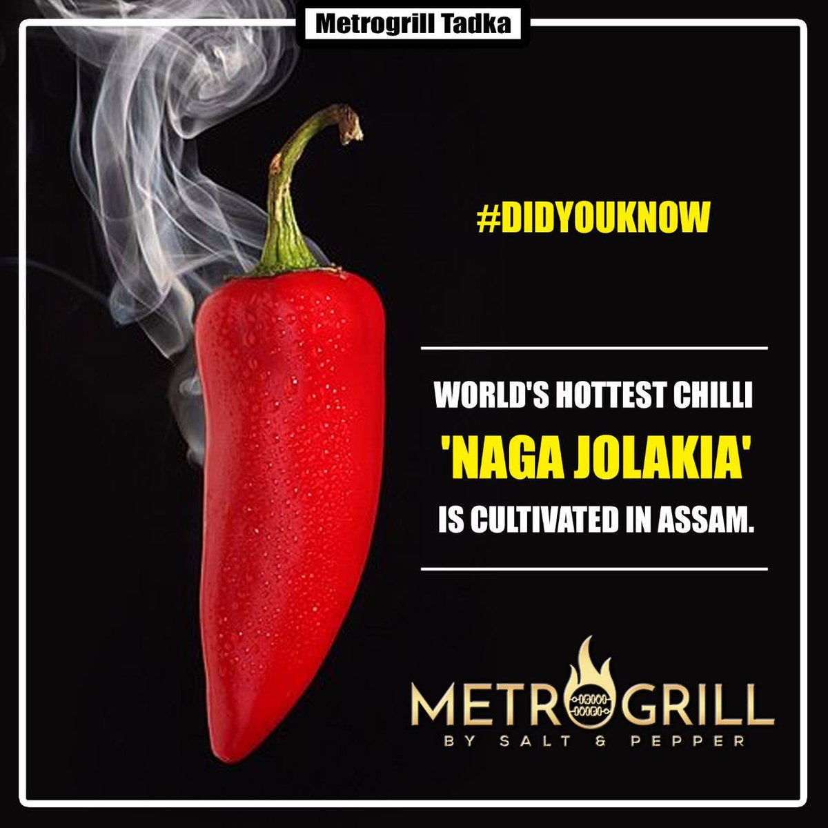MetroGrill2's tweet photo. Just a pinch of 'Naga Jolakia' is enough to spice up your platter completely. Dare if you are a spice lover!! #Chillies #FoodFacts #Spices https://t.co/pjOE3W65Rg