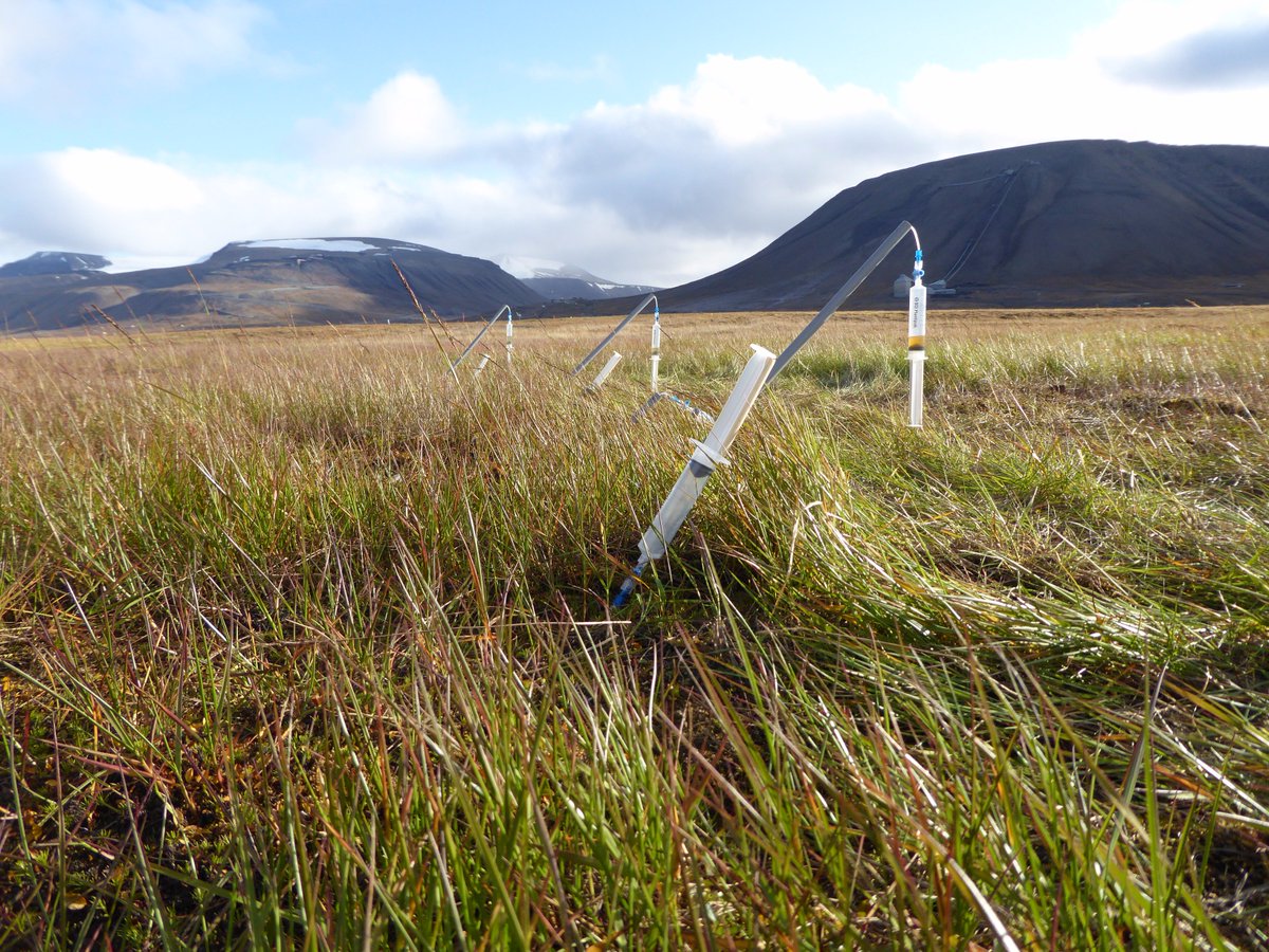 ElouJones's tweet photo. Success! #activelayer #porewater samplers installed in sunny #Adventdalen @UNISvalbard @sheffieldgeog @LowPerm @vanwalt https://t.co/f651TLqe9J