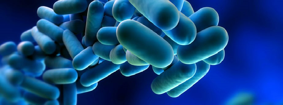 Puo' annidarsi nell'#acqua che circola in casa tua.
Sai proteggerti dal batterio della #Legionella?
goo.gl/nfCMtx