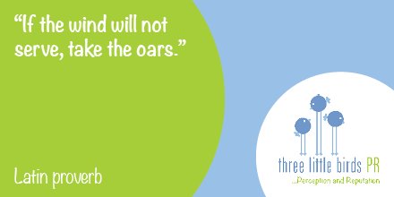 3lilbirdspr's tweet photo. "If the wind will not serve, take the oars" Latin Proverb #Quote #Monday Motivation https://t.co/3DDuSrq9nA