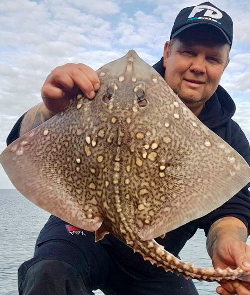 Fish Dynamix tweet media