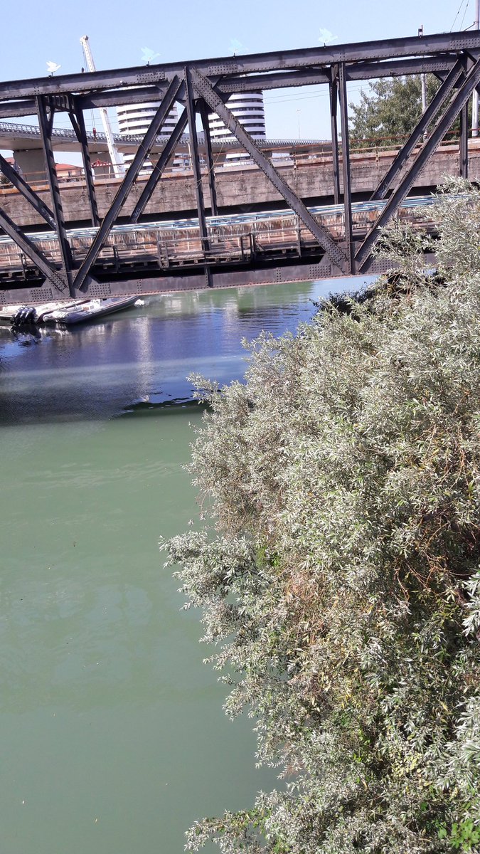 lloucin's tweet photo. Il Pescara d'azzurro cielo e verde natura
#ConIlVerde https://t.co/vdGsyzM8vt