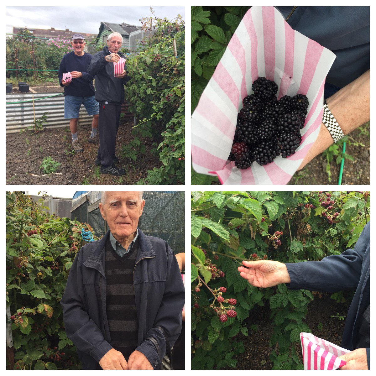 Our clients loved bramble picking last week! Remember our Green Links group is every Thursday (10am -12pm). Call 01642 815663 to join us! :)