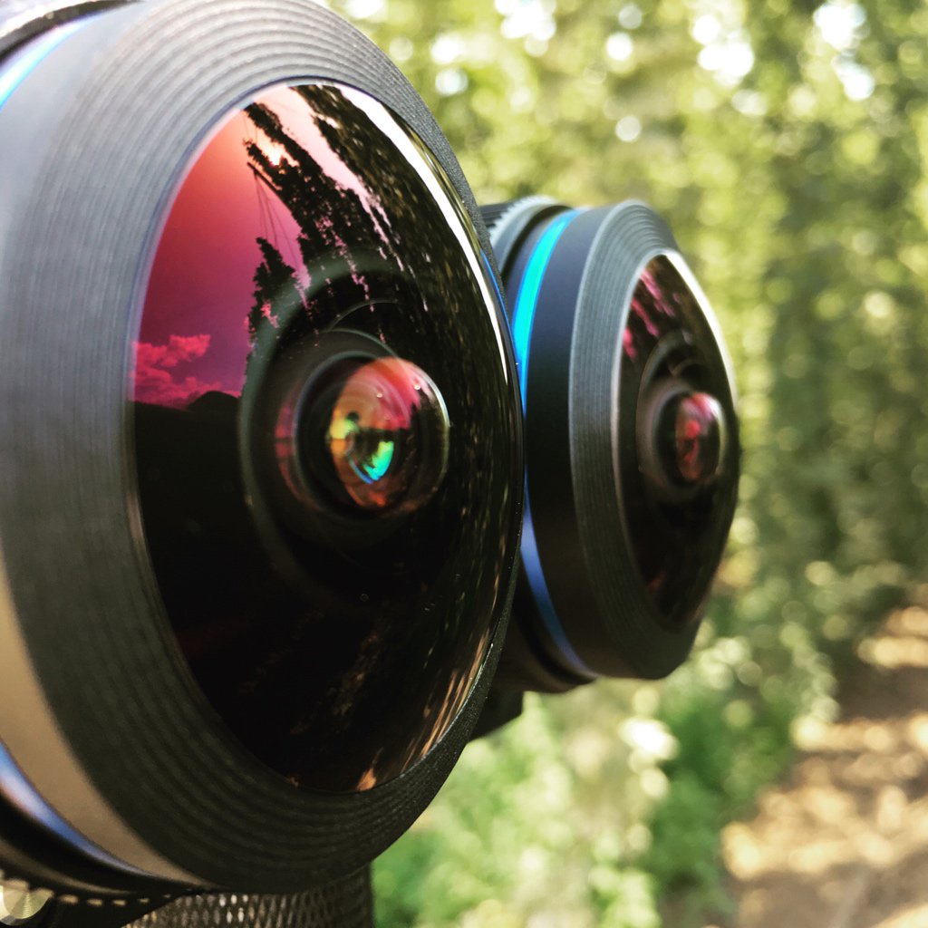WolfInMotion's tweet photo. Out in the field #VR180 https://t.co/UhTV2z4pTK