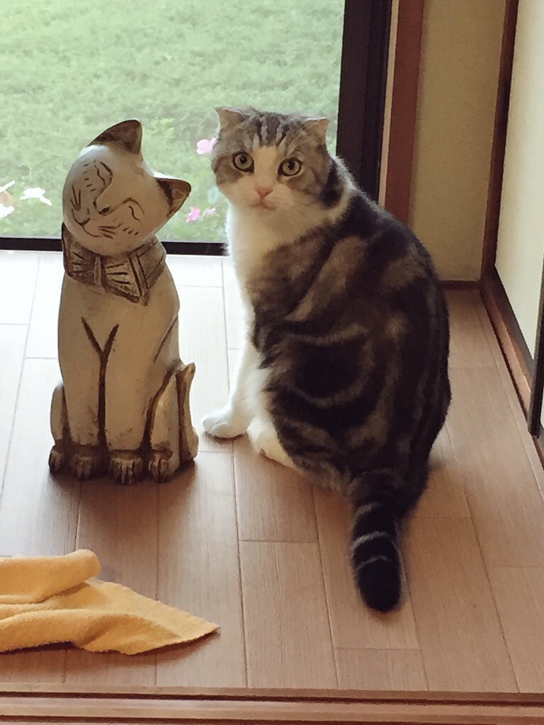 Juno_pic's tweet photo. https://t.co/lDdRrmGMHH