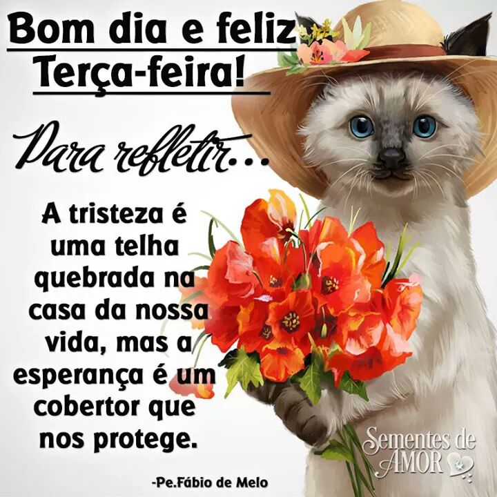 laertedeca's tweet photo. Mas um dia excelente para a grande batalha da vida, e que Deus nos ajude a vencer mas essa luta. #BetaQuerLabSempre. https://t.co/trPQ979hJL