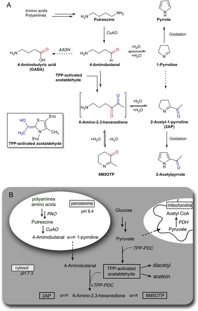 Metabolomics tweet media
