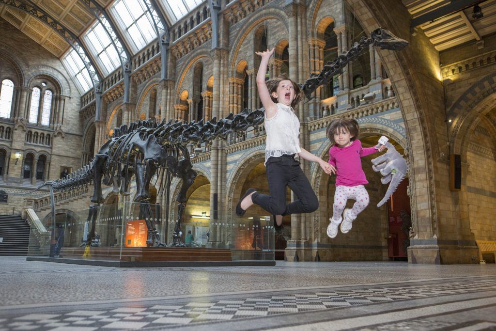 jurassic_coast's tweet photo. Are you ready for @NHM_London Dippy on Tour? More info here including advanced bookings @DorsetMuseum   https://t.co/xIQP40Np8P https://t.co/mslIWMz3j3