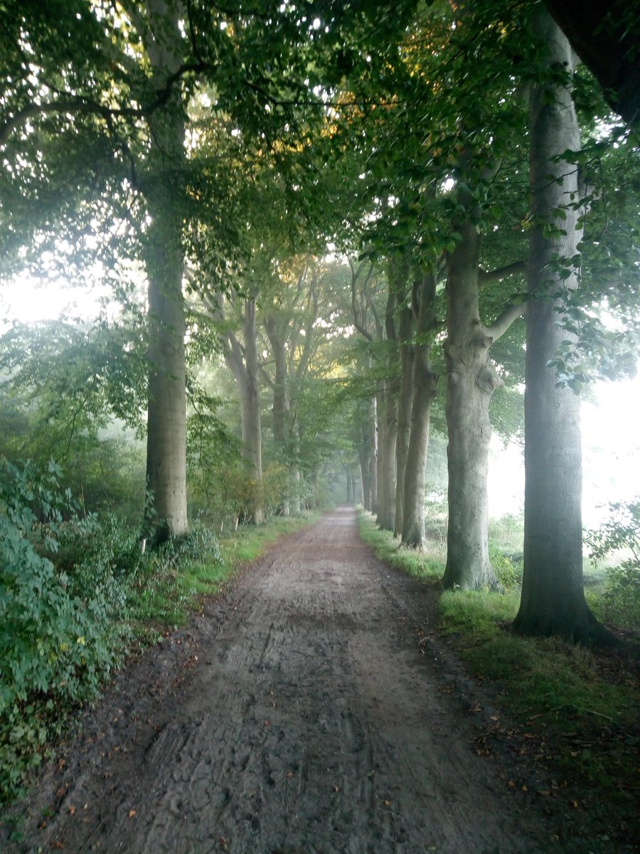 RobbertHuser's tweet image. Dag 2 Systeem week @Sioo "Zoek je eigen pad" welk pad bewandel jij binnen jouw systeem?! #PersoonlijkLeiderschap