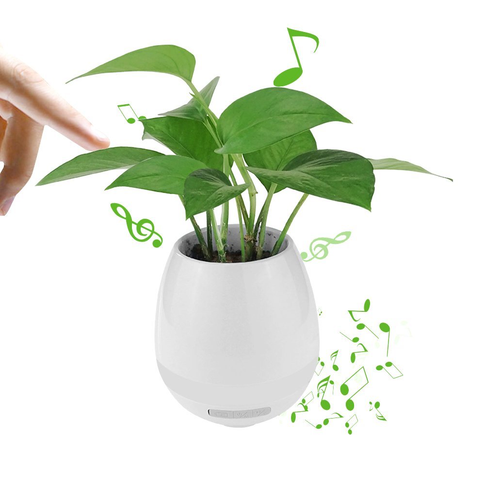 WWBuying's tweet photo. Smart House Plant Pots Bluetooth Speakers only $5.20➡️https://t.co/l7ZHZKbVA7
Amazon Price: $12.99, 60% off.  #amazondeal https://t.co/Vv056uFxCD